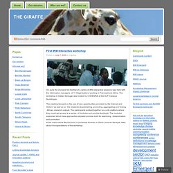 First IKM Interactive workshop « The giraffe