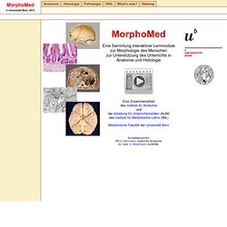 MorphoMed - Interaktive Lernmodule zur Morphologie des Menschen