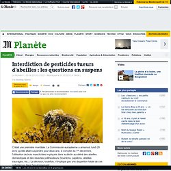 Interdiction de pesticides tueurs d'abeilles : les questions en suspens