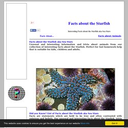 Interesting Facts about the STARFISH