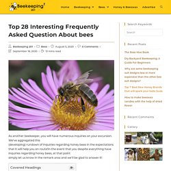 Top 28 Interesting Frequently Asked Question About Bees