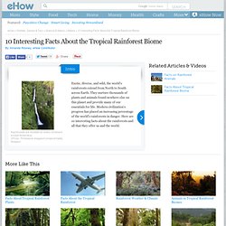 info_8116227_10-interesting-tropical-rainforest-biome