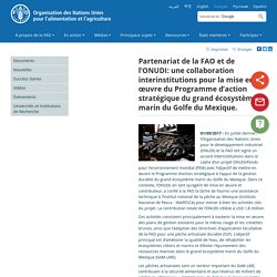 - Nouvelles: Partenariat de la FAO et de l’ONUDI: une collaboration interinstitutions pour la mise en œuvre du Programme d’action stratégique du grand écosystème marin du Golfe du Mexique.