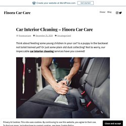 Car Interior Cleaning – Finora Car Care – Finora Car Care