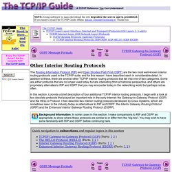 Other Interior Routing Protocols