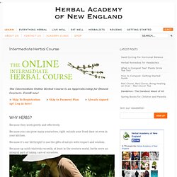 Intermediate Herbal Course: Online Herbal Course