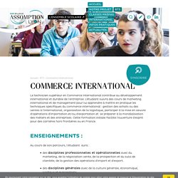 BAC +2, BTS Commerce International - Assomption Bellevue Lyon