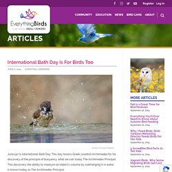 International Bath Day is For Birds Too - Everything Birds