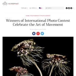 Winners of International Photo Contest Celebrate the Art of Movement
