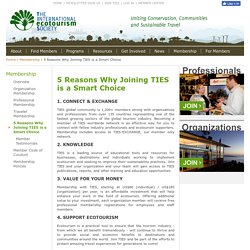5 Reasons Why Joining TIES is a Smart Choice