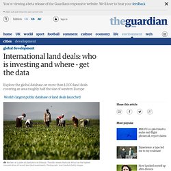 International land deals: who is investing and where