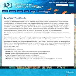 International Coral Reef Initiative