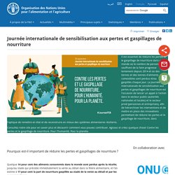 Organisation des Nations Unies pour l'alimentation et l'agriculture