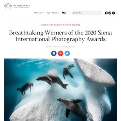 Incredible Winners of 2020 Siena International Photography Awards