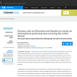 Oceana calls on Denmark and Sweden to create an international protected area covering the entire Sound