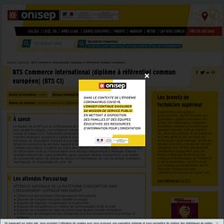 BTS Commerce international (diplôme à référentiel commun européen)