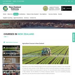 Cheapest Courses in New Zealand for International Students