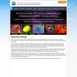 Special Report - International Science and Engineering Visualization Challenge