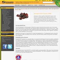 Jedwards International, Inc.. bulk krill oil, wholesale