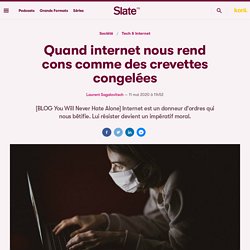 Quand internet nous rend cons comme des crevettes congelées