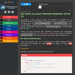 Hacks CSS pour Internet Explorer 10 et 11 - Stéphane Jacquot