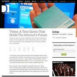 Twine, A Tiny Gizmo That Holds The Internet's Future