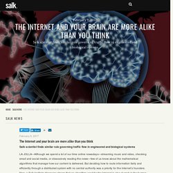 The Internet and your brain are more alike than you think - Salk Institute for Biological Studies