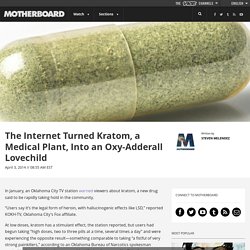 The Internet Turned Kratom, a Medical Plant, Into an Oxy-Adderall Lovechild