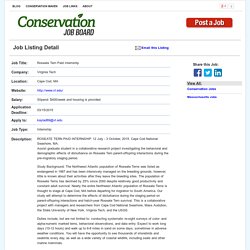 Job Listing - Roseate Tern Paid Internship in Cape Cod, Massachusetts