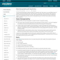 Data Interoperability with Apache Avro