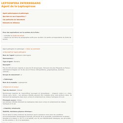 INRS – JANV 2010 - LEPTOSPIRA INTERROGANS Agent de la Leptospirose