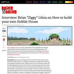 Interview: Brian "Ziggy" Liloia on How to build your own Hobbit House