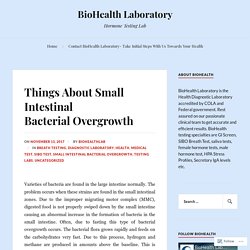 Things About Small Intestinal Bacterial Overgrowth – BioHealth Laboratory