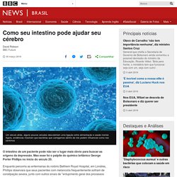 Como seu intestino pode ajudar seu cérebro - BBC News Brasil