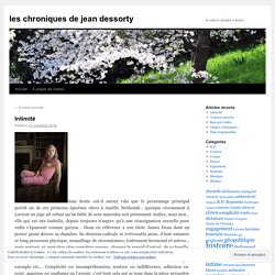 les chroniques de jean dessorty Intimité 11/18 - Intimité