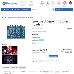 Into the Unknown - Guitar Synth kit, 39,00 €