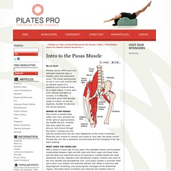 Intro to the Psoas Muscle - Liz Koch