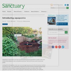 Introducing aquaponics - Sanctuary Magazine