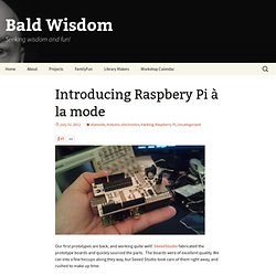 Introducing Raspbery Pi à la mode
