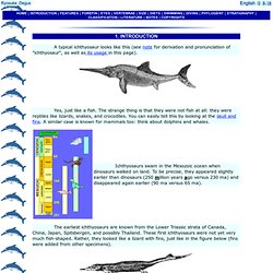 Ichthyosaur