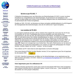 Introduction - Page d'accueil du site EIBE en langue française