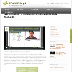 Introduction to Biomimicry Online Course Now Available to the Public