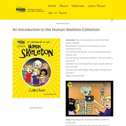 An Introduction to the Human Skeleton Collection - Science for Kids