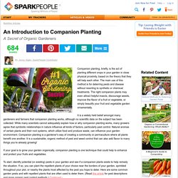 An Introduction to Companion Planting