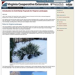 Introduction to Cold-Hardy Tropicals for Virginia Landscapes