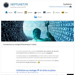Introduction au routage IP dynamique [+vidéo] – NEPTUNET.FR