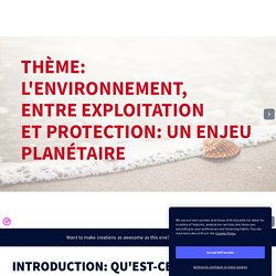 INTRODUCTION: ENVIRONNEMENT - Genially