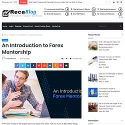 An Introduction to Forex Mentorship