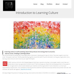Introduction to Learning Culture