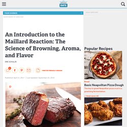An Introduction to the Maillard Reaction: The Science of Browning, Aroma, and Flavor